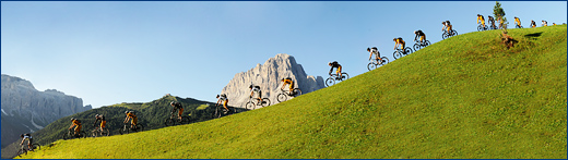 seceda